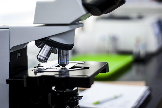 環(huán)氧樹(shù)脂固化促進(jìn)劑：四甲基胍可顯著降低胺類(lèi)/酸酐固化劑的活化溫度，加速固化進(jìn)程