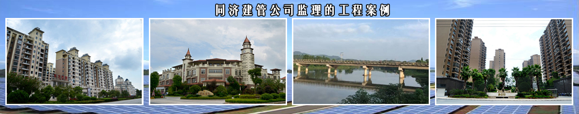 用于聚氨酯軟質(zhì)泡沫的DPA反應(yīng)型凝膠催化劑，提供良好的凝膠和發(fā)泡平衡